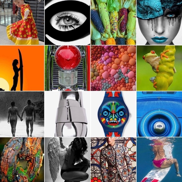 Meet your Posher, Ogee - Picture 10 of 15